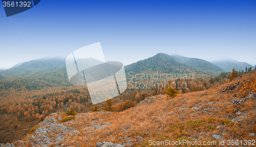 Image of taiga and mountains