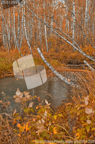 Image of Autumn river