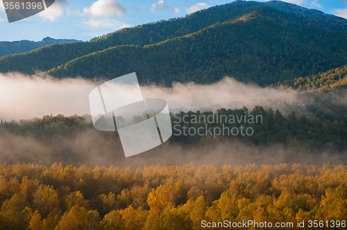 Image of sunrise in taiga
