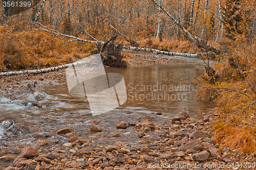 Image of Autumn river