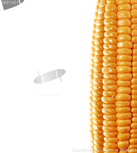 Image of background with ear of corn