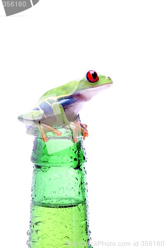 Image of frog with bottle isolated on white