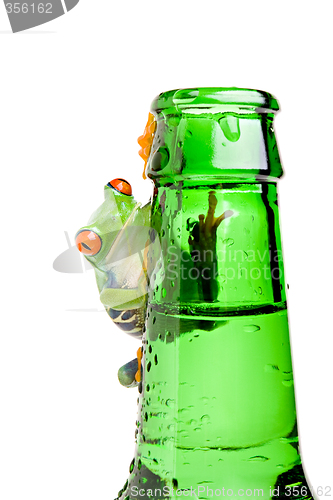 Image of frog on a bottle isolated on white