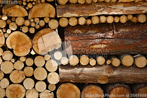 Image of Log Pile