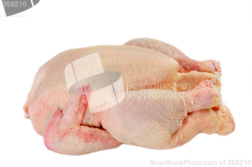 Image of Chicken
