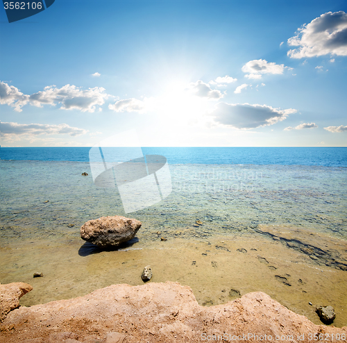 Image of Coast of red sea