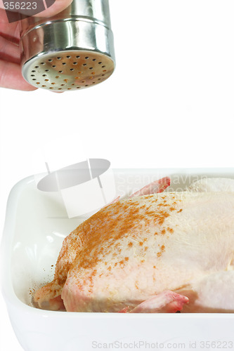 Image of Flavoured Chicken