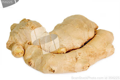 Image of Fresh Ginger
