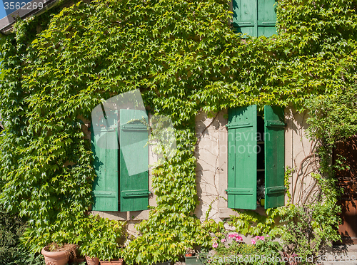 Image of Riquewihr