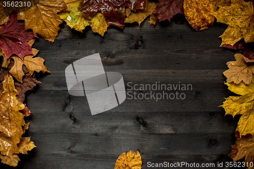 Image of Wood autumn background