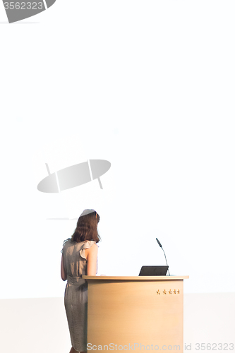 Image of Business woman making business presentation.