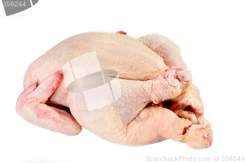 Image of Raw Chicken