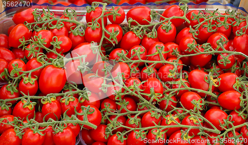 Image of Cherry tomatoes