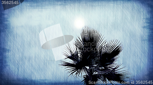 Image of Palm tree abstract blue background