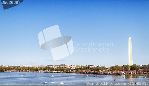 Image of Washington Monument Tidal Basin