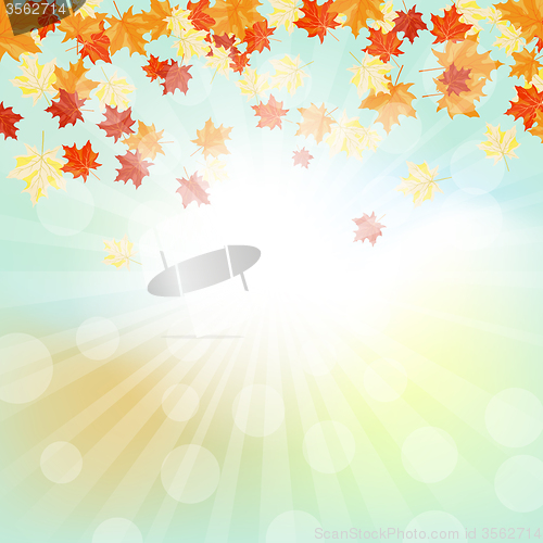 Image of Autumn  frame 