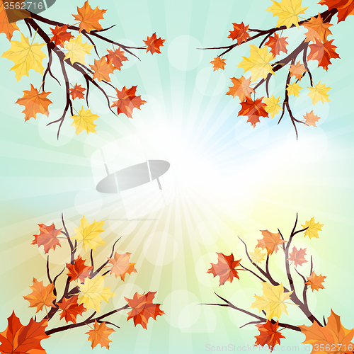 Image of Autumn  design 