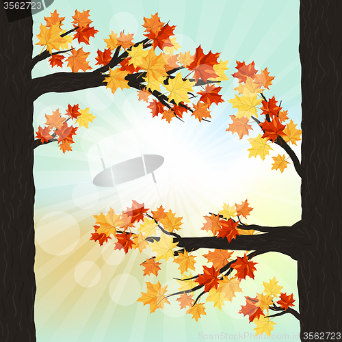 Image of Autumn  design 