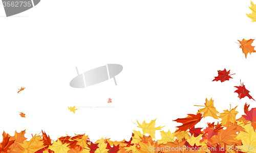 Image of Autumn  Frame