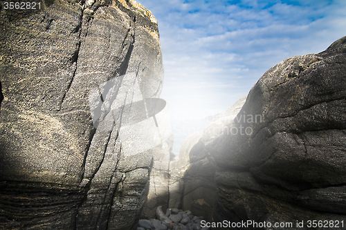 Image of Sunny Day