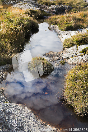 Image of Pond