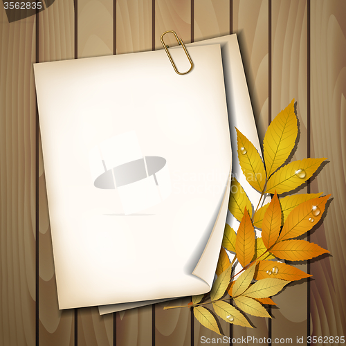 Image of Paper sheet with autumn leaves