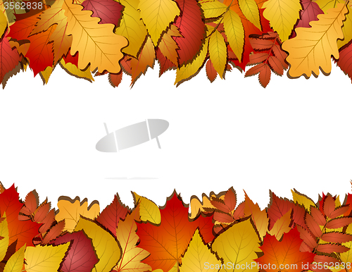 Image of seamless with autumn leaves