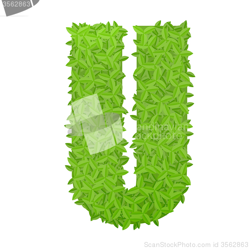 Image of Uppecase letter U consisting of green leaves