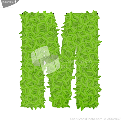 Image of Uppecase letter M consisting of green leaves