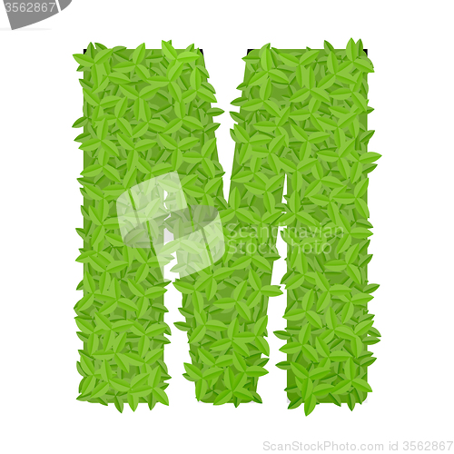 Image of Uppecase letter M consisting of green leaves