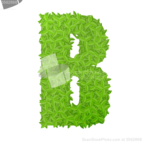 Image of Uppecase letter B consisting of green leaves