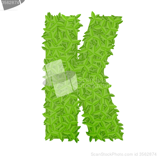 Image of Uppecase letter K consisting of green leaves