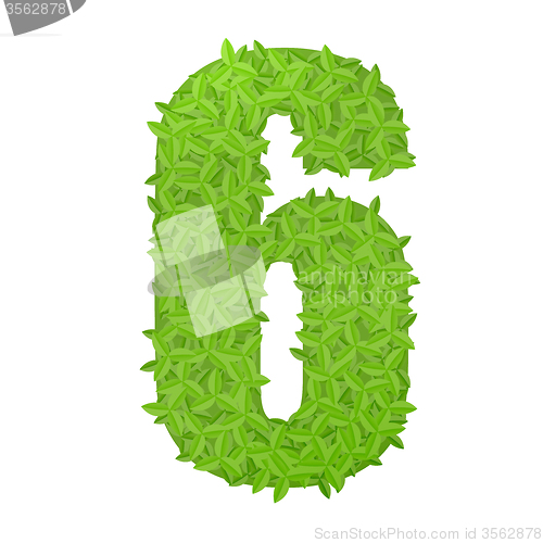 Image of Number 6 consisting of green leaves