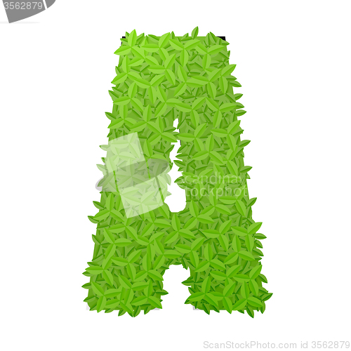 Image of Uppecase letter A consisting of green leaves