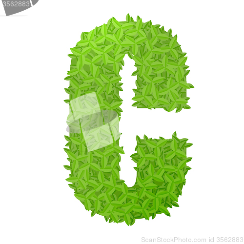 Image of Uppecase letter C consisting of green leaves