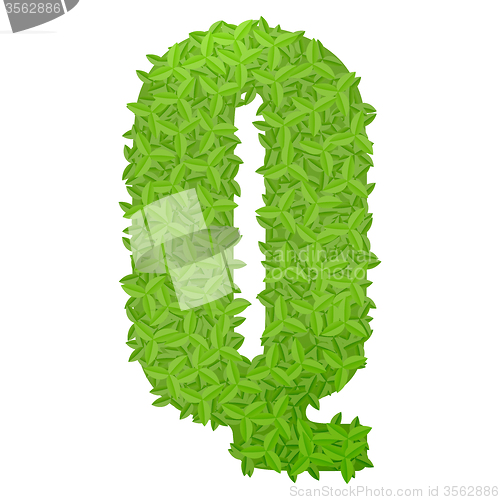 Image of Uppecase letter Q consisting of green leaves