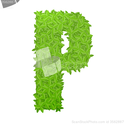 Image of Uppecase letter P consisting of green leaves