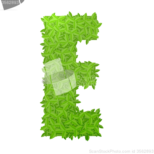 Image of Uppecase letter E consisting of green leaves