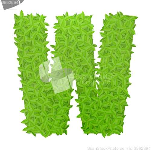 Image of Uppecase letter W consisting of green leaves