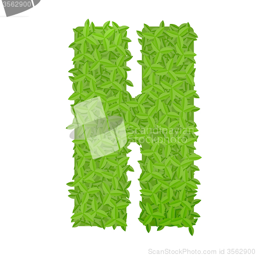 Image of Uppecase letter H consisting of green leaves