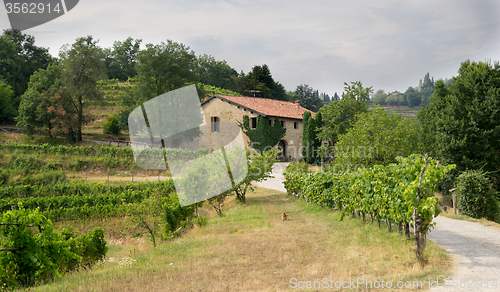 Image of Italy country side