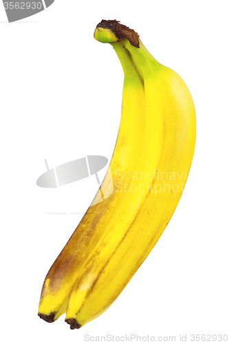 Image of Ripe bananas