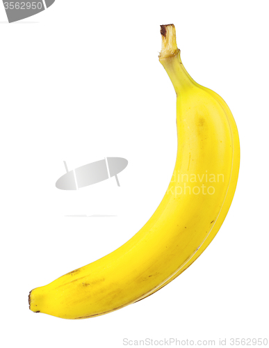 Image of Ripe bananas