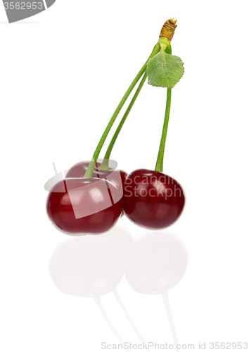 Image of Sweet cherries