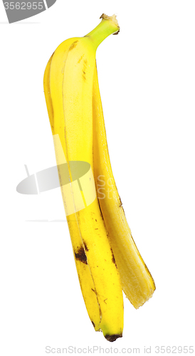 Image of Peel of banana