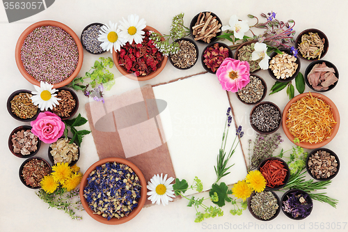 Image of Herbal Medicine Ingredients