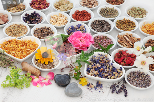 Image of Therapeutic Herbs and Flowers