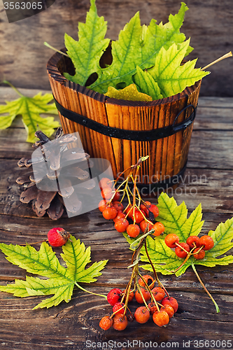 Image of Autumn still life.