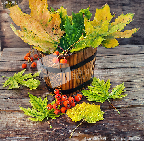 Image of Autumn still life.