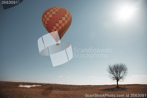 Image of Air balloon and tree